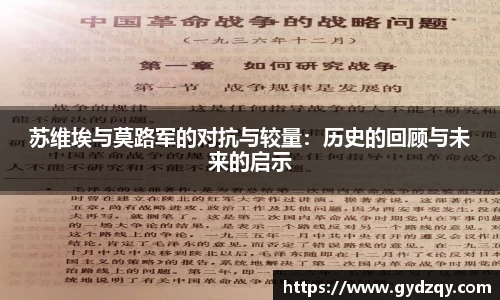 苏维埃与莫路军的对抗与较量：历史的回顾与未来的启示
